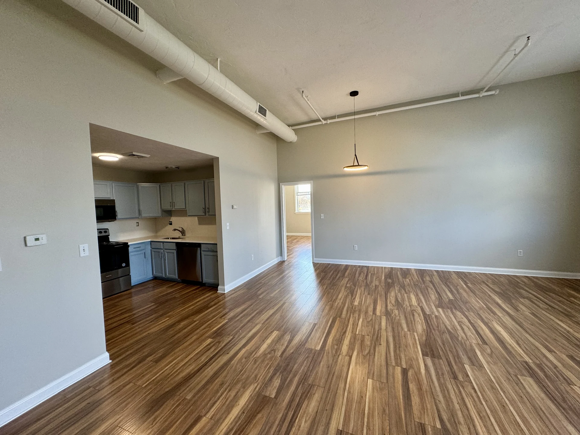 Apartment living space with kitchen, wood flooring and high ceilings