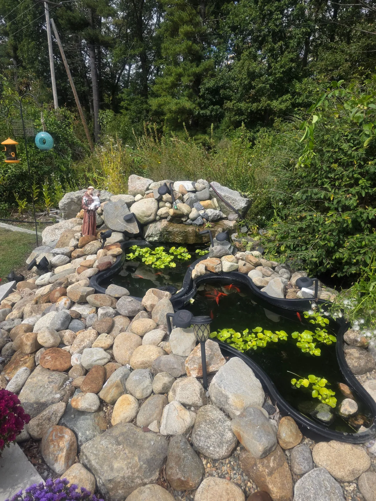 Stone-lined koi pond at Foster Place